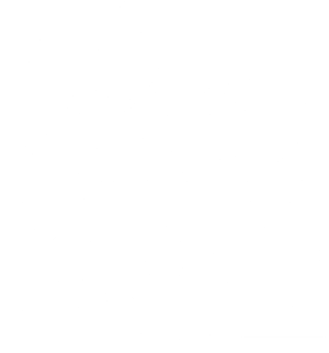 Noah's Ark Zoo Farm Logo